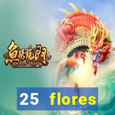 25 flores silvestres com nomes 25 flores silvestres desbravadores